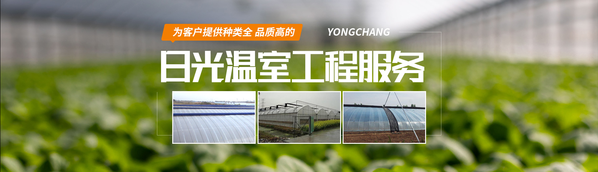 安陽市永昌農業科技有限公司